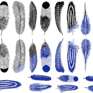 Könnte beinhalten: Eine Sammlung verschiedener Federn in Schwarz und Weiß, einige mit blauen Akzenten. Die Federn weisen detaillierte Muster und Texturen auf und variieren in Form und Größe. Das Bild ist vor einem weißen Hintergrund platziert, der die komplizierten Designs der Federn hervorhebt.