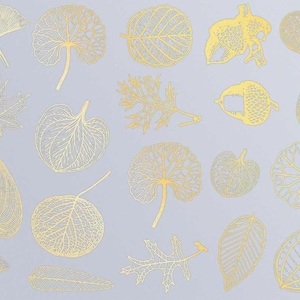 Leaf Skeletons - Ceramic Overglaze Decal - Glass Fusing Decal - Enamel Decal - LEAD FREE & Food Safe