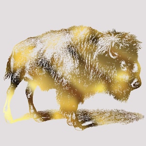 May include: A golden-toned illustration of a bison in a walking pose. The artwork features a gradient effect, with the bison's form rendered in shades of gold and brown against a light gray background. The bison's fur and features are detailed.
