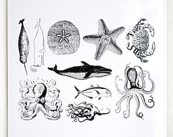 Mixed Sea Life Decals for Glass or Ceramic