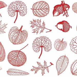Small Leaves Decals for Ceramic, Glass and Enamel image 8