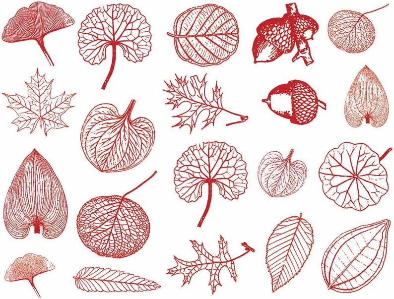 Small Leaves Decals for Ceramic, Glass and Enamel image 8