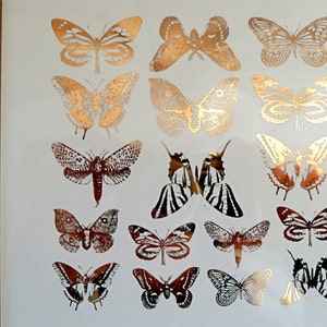 Small Butterfly Ceramic Decals, Glass Decals or Enamel Decals image 1