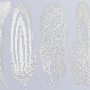 Large Feathers 2 Decals for Ceramic, Glass and Enamel Silver Luster