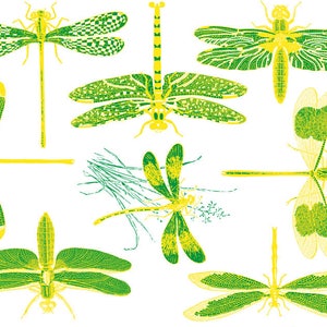 Two-Color Dragonfly Ceramic Decals, Glass Fusing Decals, Waterslide Decals, Ceramic Transfers