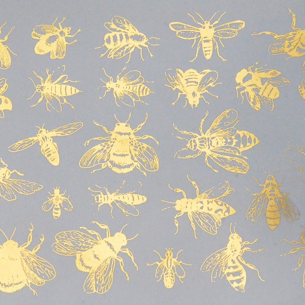 Puede incluir: Una colección de veinticuatro ilustraciones de abejas en lámina de oro dispuestas sobre un fondo gris sólido. Cada abeja se representa en una pose diferente, mostrando patrones de alas detallados, cuerpos segmentados y antenas.
