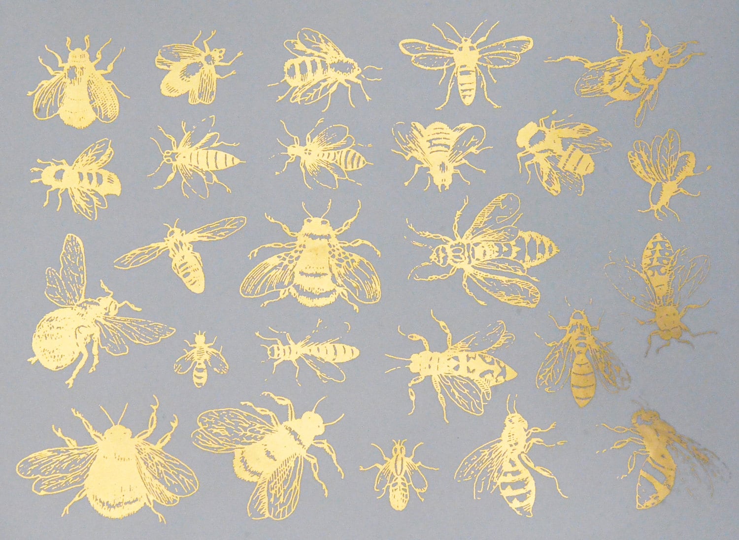 Vintage Bees Ceramic Decals Glass Fusing Decals Waterslide Etsy