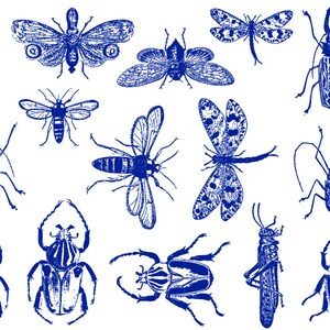 Papier Transfert Sous Glaçure 5 Feuilles - Motifs Chouettes Oiseaux Pour Céramique Porcelaine