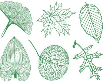 Large Leaves - Decals for Ceramic, Glass and Enamel