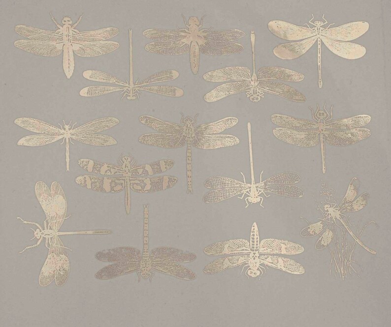 Dragonfly Ceramic Decals Glass Fusing Decals Waterslide Etsy Australia