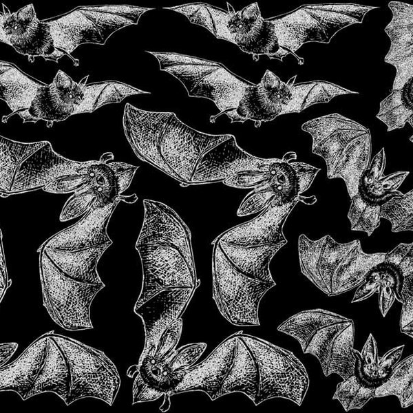 Bats Decals for Ceramics, Fused Glass and Enamel