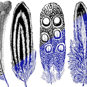 CONE 6 - Inglaze - Large Feathers #2 - Ceramic Decals - Lead Free - Food Safe