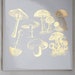 Vintage Mushroom Ceramic Decals, Glass Decals or Enamel Decals 