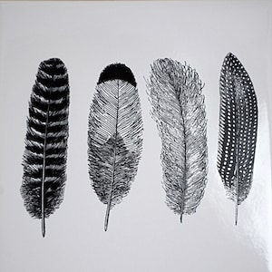 Large Feathers 1 Ceramic Decals, Glass Decals or Enamel Decals Black