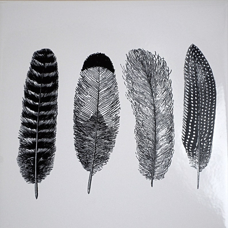 Large Feathers 1 Ceramic Decals, Glass Decals or Enamel Decals Black