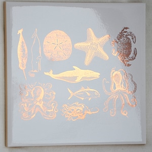 Mixed Sea Life - Ceramic Overglaze Decal - Glass Fusing Decal - Enamel Decal - LEAD FREE & Food Safe