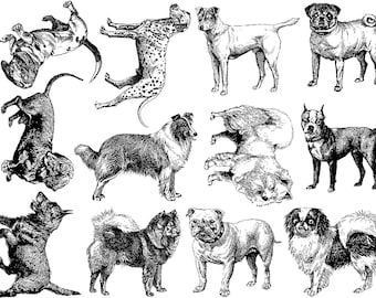 Dog Breeds Ceramic Decals, Glass Decals or Enamel Decals