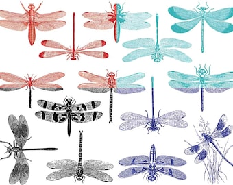 Cone 6 - Inglaze - Dragonfly Ceramic Decals, Waterslide Decals, Ceramic Transfers