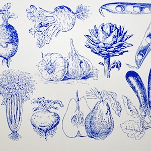Ceramisches/ Glas Abziehbilder -  Retro Gemeuse
