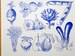 Vintage Vegetable Ceramic Decals, Glass Decals or Enamel Decals 