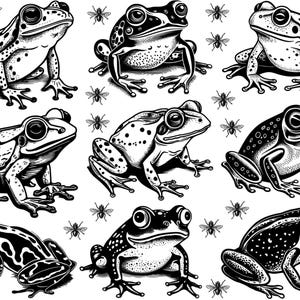 Puede incluir: Un conjunto de ocho ilustraciones en blanco y negro de ranas con varios patrones y poses. Las ranas están dibujadas en un estilo realista y detallado.