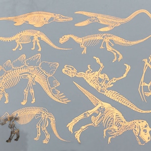 Dinosaur Skeletons - Ceramic Overglaze Decal - Glass Fusing Decal - Enamel Decal - LEAD FREE & Food Safe