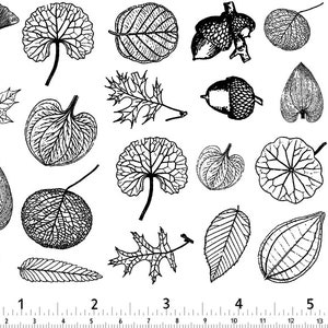 Small Leaves Decals for Ceramic, Glass and Enamel image 10
