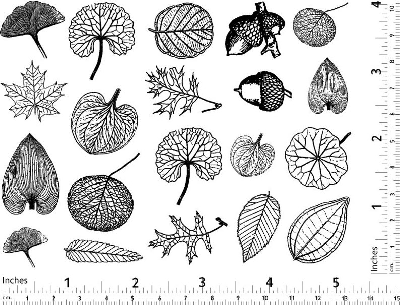 Small Leaves Decals for Ceramic, Glass and Enamel image 10