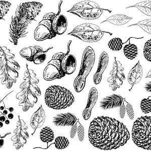 Autumn Nature - Ceramic Overglaze Decal - Glass Fusing Decal - Enamel Decal - LEAD FREE & Food Safe