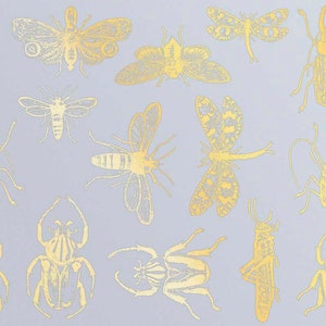 Mixed Insect Ceramic Decals, Glass Decals or Enamel Decals