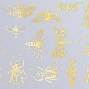 Mixed Insect Ceramic Decals, Glass Decals or Enamel Decals