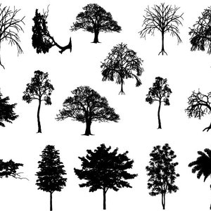 May include: Silhouettes of various trees in black against a white background. The trees are in different shapes and sizes, including palm trees, deciduous trees, and coniferous trees.