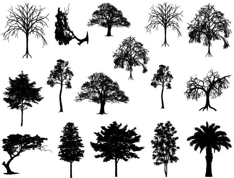 May include: Silhouettes of various trees in black against a white background. The trees are in different shapes and sizes, including palm trees, deciduous trees, and coniferous trees.