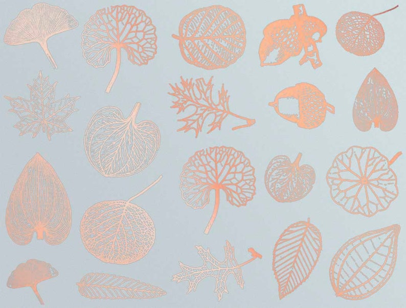 Small Leaves Decals for Ceramic, Glass and Enamel Copper Luster