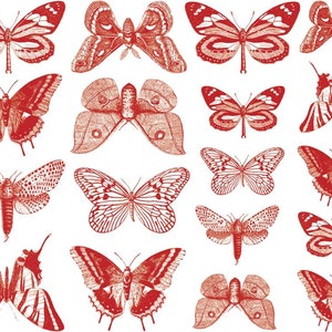 Small Butterfly Ceramic Decals, Glass Decals or Enamel Decals CONE 6 Red