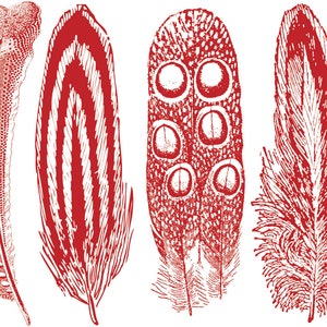 Large Feathers 2 Decals for Ceramic, Glass and Enamel Red