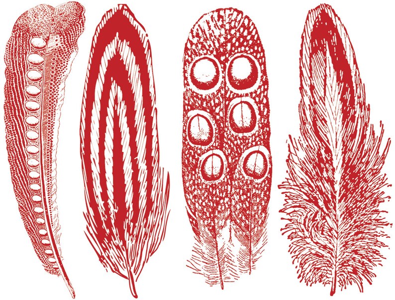 Large Feathers 2 Decals for Ceramic, Glass and Enamel Red