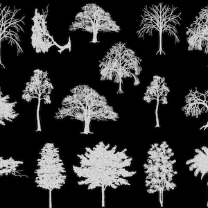 May include: A collection of 14 white silhouette images of various trees, including palm trees, deciduous trees, and coniferous trees, on a black background.