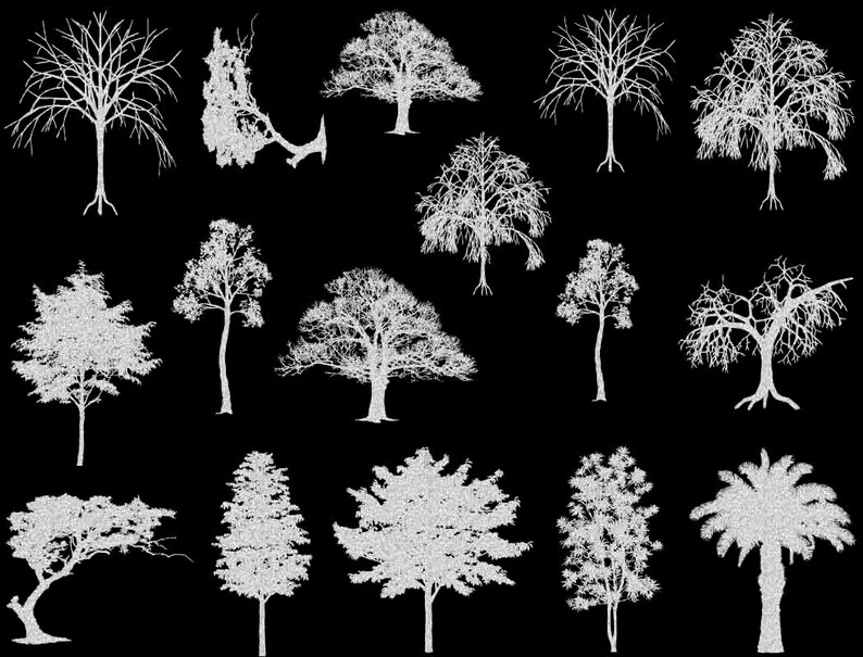 May include: A collection of 14 white silhouette images of various trees, including palm trees, deciduous trees, and coniferous trees, on a black background.