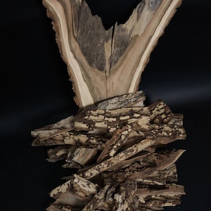 Natural Walnut Bark – Decorative Pieces, Perfect for Crafts and Decorations