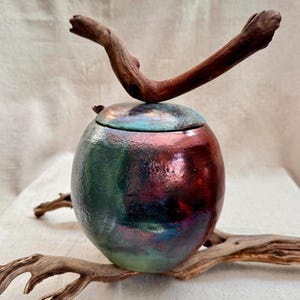 Raku Andenken Urne. Deckeldose aus Keramik mit Treibholz.  Haustier-Urne. Von der Natur inspirierte erdige Keramik.