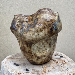 Könnte beinhalten: Eine handgefertigte Keramikvase mit einer einzigartigen, organischen Form. Die Vase hat eine strukturierte Oberfläche mit einer Mischung aus braunen, beigen und blau-grünen Farbtönen. Das Gefäß wird auf einer verwitterten Holzoberfläche präsentiert, die sein künstlerisches Design hervorhebt.