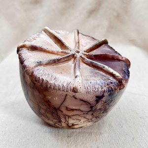 Raku horsehair marine ceramic sculpture. Nature inspired coastal décor. Underwater life.  Fine art luxury ceramics.