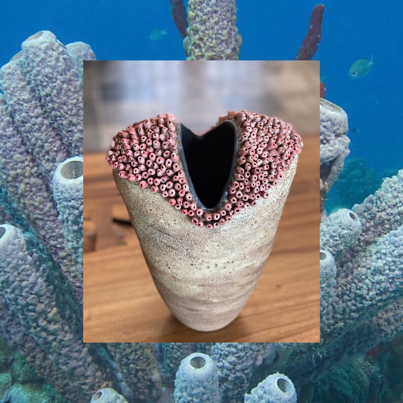 Extra Large Sea Sponge Ceramic Vase. Ocean Inspired Marine Etsy Singapore