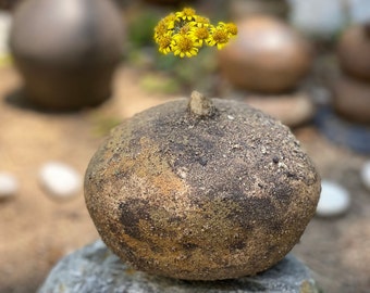 Ceramic zen stone vase.  Handmade pebble stone vase. Personalized gift. Beach stone bud vase. Rustic organic vase. Nature inspired vase.