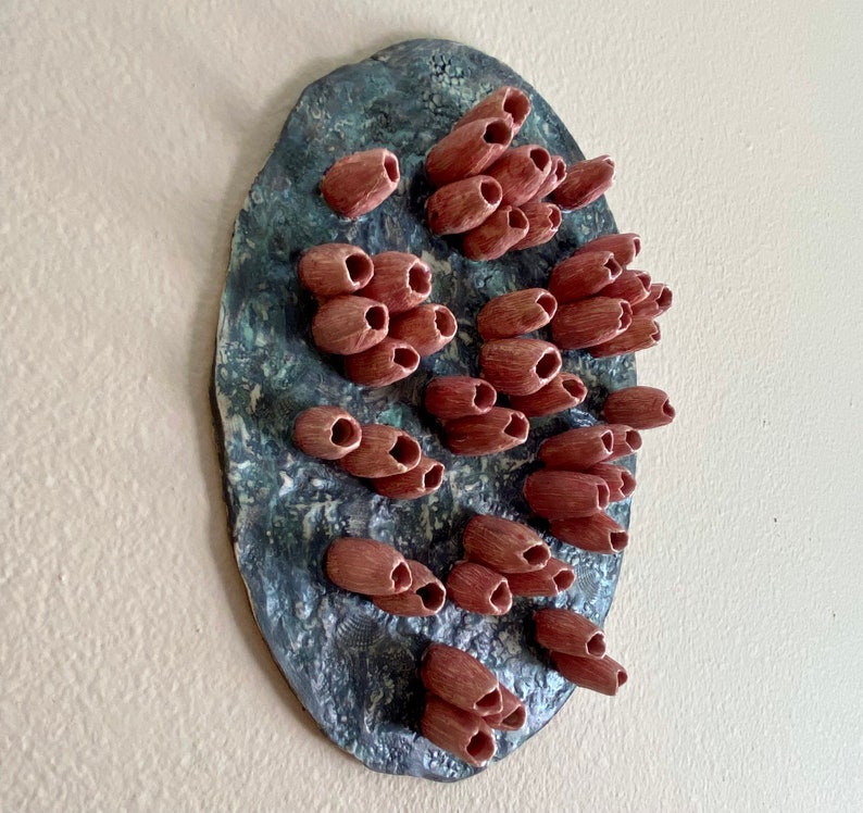 Coastal ceramic wall art. Wall sculpture VOLCANO BARNACLES. Marine life handmade wall hanging. Home decor. image 3