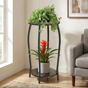 May include: A two-tier plant stand featuring a dark brown wood-grain finish on the circular top and bottom shelves, supported by four slender black metal legs. A trailing green plant sits on the top shelf, and a bromeliad with a bright red center.