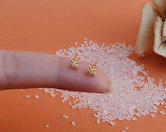 Labret de estrella con circonitas cúbicas y pasador de presión / Pendiente plano sin rosca / Piercing para cartílago, hélix o concha / Joyería delicada para piercings en forma de estrella / Brillo hipoalergénico