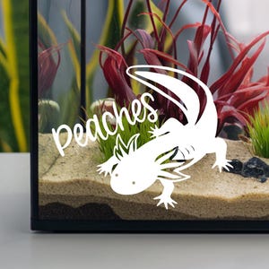 Individuelles Axolotl Aufkleber, personalisiertes Tank Namensschild, Vinyl Aufkleber, Geschenk für Aquarium Besitzer, individuelles Tank Dekor, Haustier Liebhaber Auto Aufkleber