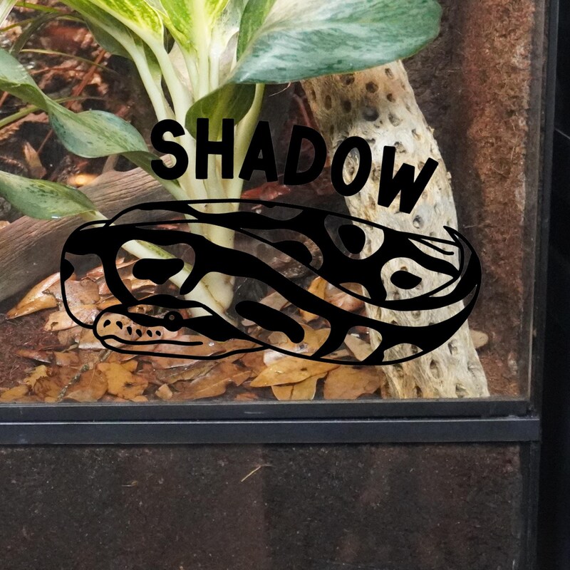 Ball Python - Etsy